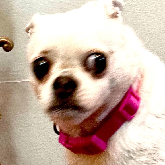 Meet your Posher, J Davis - Picture 1 of 1